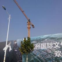 徐工 徐工6012塔式起重機2年機器